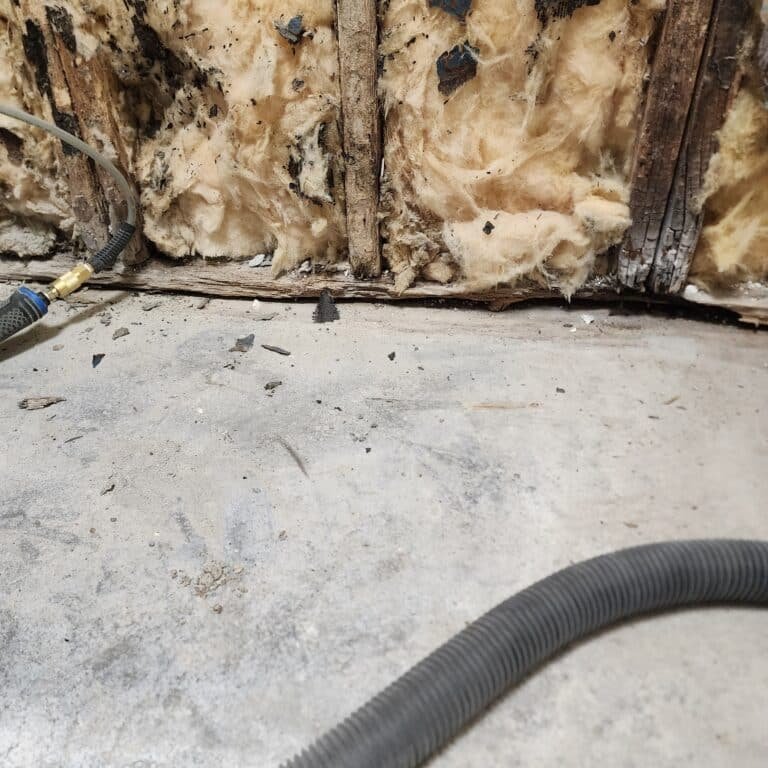 bathroom moisture control Southern Ohio